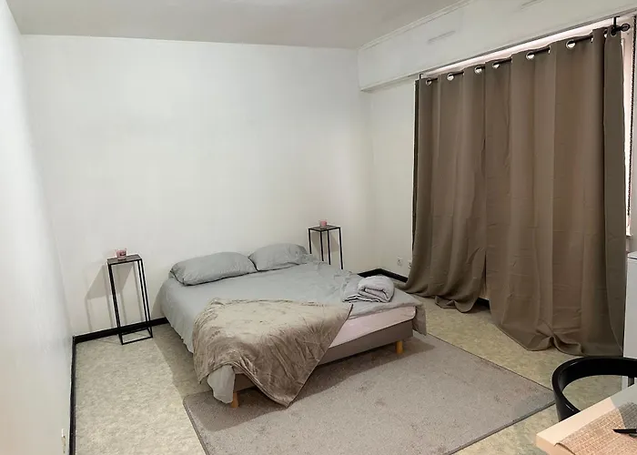 Magnifique Studio Avec Netflix